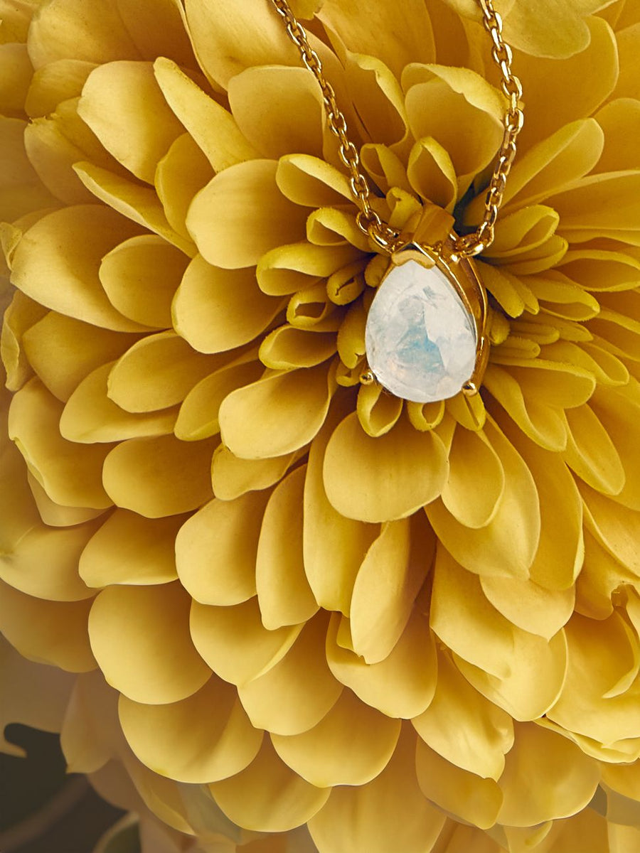 Moonstone teardrop 14K necklace