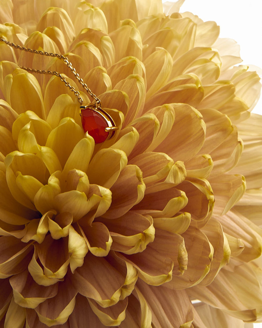 Carnelian teardrop 14K necklace